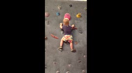 This US toddler is a rock-climbing pro