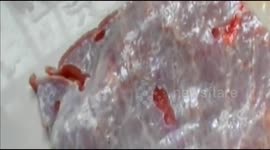 Bizarre twitching slab of beef seen in China