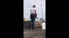 VIDEO of SEAGULL trapped in 'dangerous' roof netting with broken leg causes outrage on Twitter