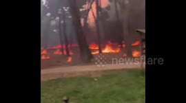 Italy: Wildfires Continue Raging In Southern Regions 4