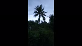 Big Storm Hit Trees a Long the Ride of This Man