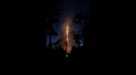 US: Pine Tree Splits In Half After Being Hit By Lightning In San Bernardino, CA