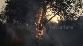 Watch the forest fires in Ogan Ilir, South Sumatra, Indonesia