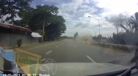 Overloaded fruit delivery truck topples over on highway