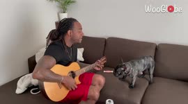 'Cute Dog Acts Like a Diva When Owner Sings his Part 
'