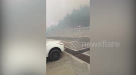 Fire sweeps through trees surrounding a residential area in Turkey
