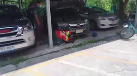 Mother cat and her two kittens rescued after being born in car engine