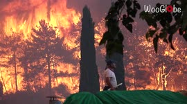 'Frightening Footage Shows Manavgat Being Threatened by Raging Forest Fire '