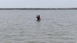 The heavy rain has effected in people's in Bihar to connected bank side Ganga river