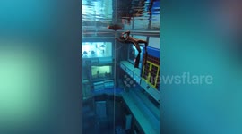 First freediver tries awesome sunken dive pool in Dubai