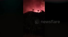 Wildfire engulfs hillside trees in Turkey neighbourhood