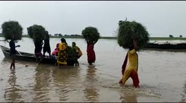 The flood has effected so people's move to safe places by boat