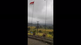 Paddy's Harvest Season amid Covid-19 Outbreak in Bali, Indonesia