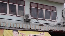 Rogue wild monkey terrorises market town in Thailand