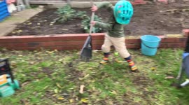 Little boy gardening and mowing the lawns with his toy mower while wearing his bike helmet.