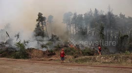 Flames destroy forest as wildfires continue to rage on Greek island of Evia