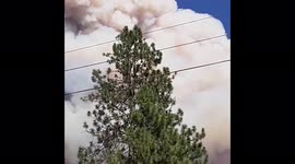US: River Fire Spreads Rapidly In Northern California, Prompts Evacuation In Colfax 5