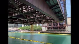 Duck yeah! Rubber duck procession  in Chicago to honor Special Olympics