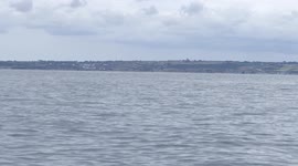 Man encounters 30-foot whale metres away from his kayak off the Cornish coast