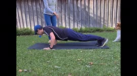 Sheltie push-ups - leaping on