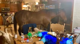 Horse and goat invite themselves into American home for dinner
