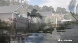 How to deal with downed power lines