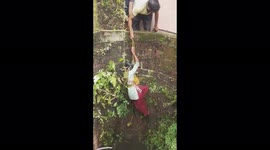 Brave animal-lover descends steep walls of well to rescue kitten