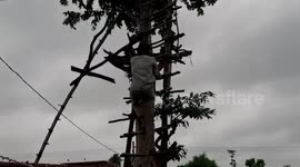 Farmer builds treehouse after not obtaining housing rights in central India