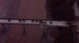 China's migrating elephant herd returns home after 500km odyssey