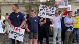 Protesters gather outside DEFRA as petition to save Geronimo the alpaca from execution nears 100,000 signatures