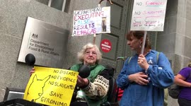 Protest To Save Geronimo The Alpaca Outside The Department of Environment Food and Rural Affair