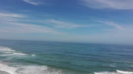 White Whale in Tergniet, Mosselbay (2021)