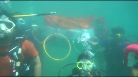 Divers congratulate Indian Olympic medalists with bizarre underwater spectacle