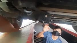 Shocked driver finds injured snake hiding under car