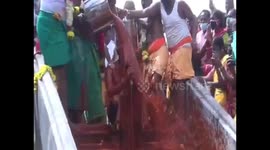 Priest in South India takes a holy dip known as 'Paprika Bath'