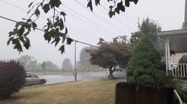 Thunderstorm With Torrential Rain in Frederick, Maryland - August 10, 2021