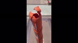 'Meet Cony Hawk, a Skateboarding TRAFFIC CONE *4.5 Million+ Views*'
