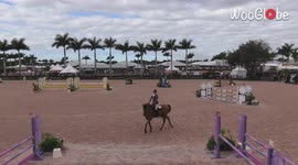 ''You First, Ma'am' - Horse Throws Off Rider Over the Hurdle | Try Not to Laugh'