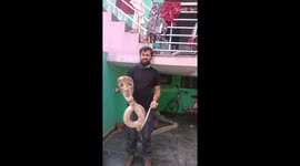 Huge venomous cobra found rummaging around home in India