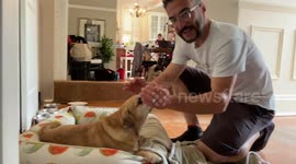 Canadian dad makes one dog jealous by giving too much attention to his other dog.