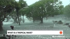 What is a tropical wave?
