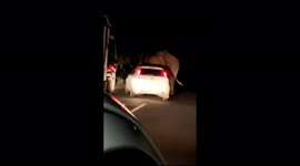 Angry wild elephant SHOVES car in southern India after impatient driver honks horn
