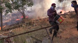 Turkish firefighters battle blazes in just one province after extinguishing scores of others