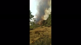 Wildfires rage across Kabylie Region in Algeria