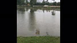 US: Heavy Rain Causes Severe Flooding, Road Closures In Jackson, Michigan