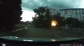 Tree falls onto utility pole sending sparks across road in eastern China