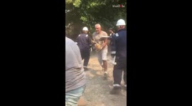 Pets and farm animals rescued as wildfires close in on homes in southern Turkey