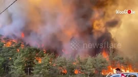Close-up footage of intense wildfires burning through woodlands in Turkey