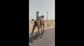 camel ride in rajasthan very funny