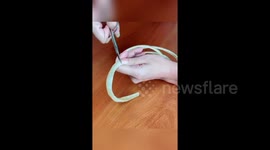 Russian woman with record-breaking fingernails cuts them off